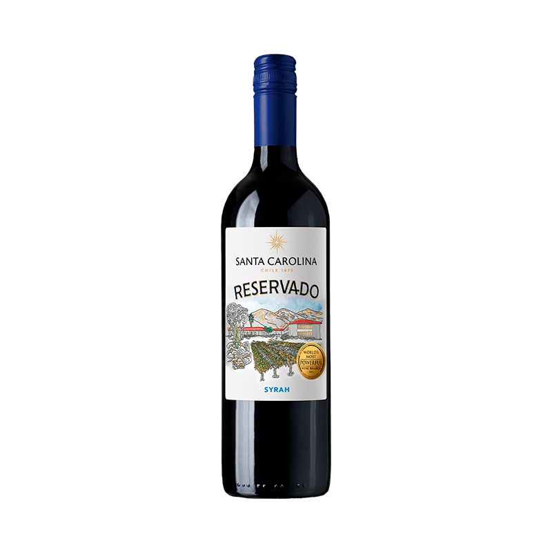 Kit 10 Vinos Selección Especial – Vino & Market